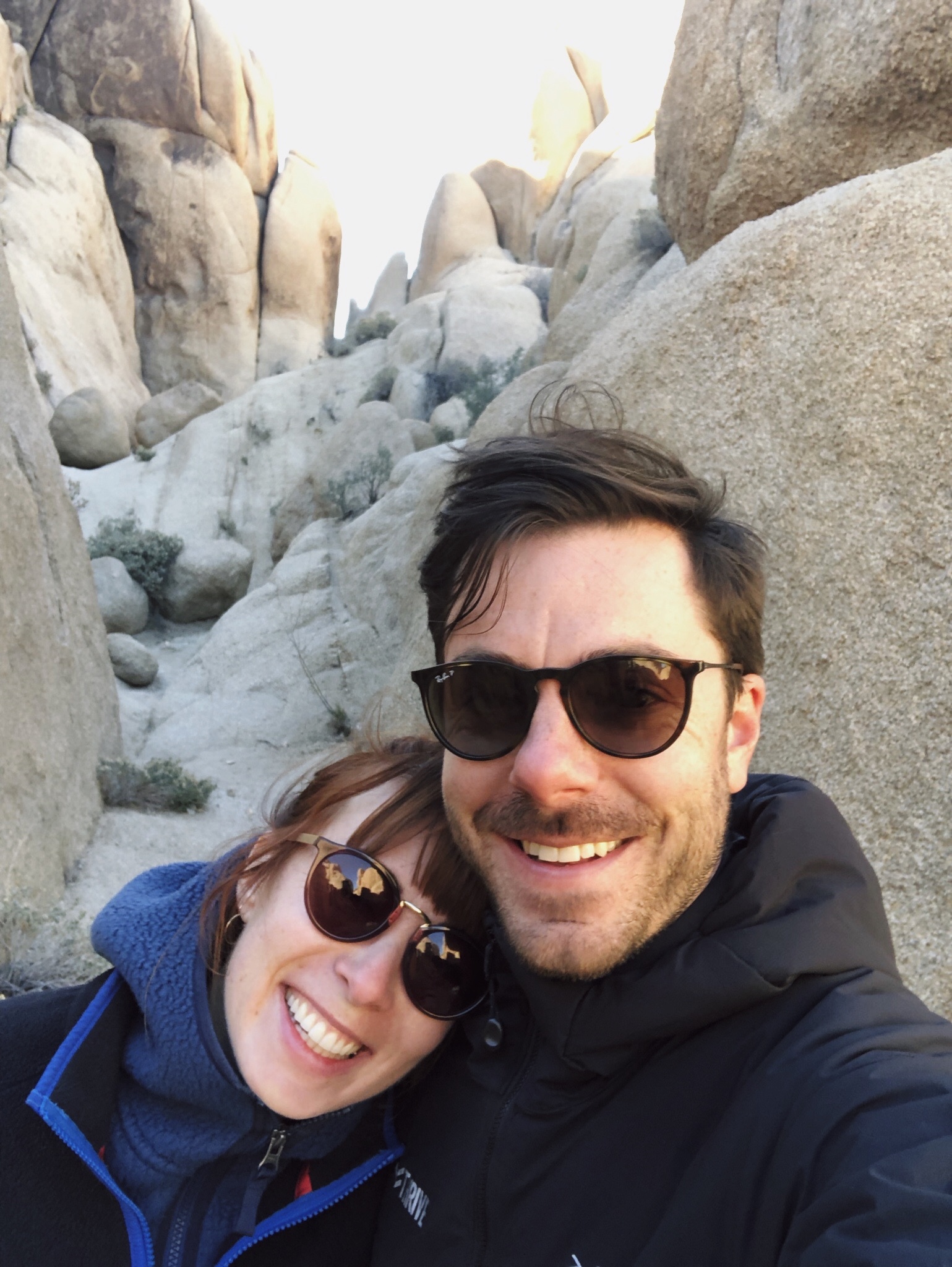 joshuatree